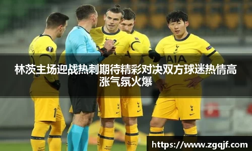 林茨主场迎战热刺期待精彩对决双方球迷热情高涨气氛火爆